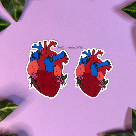 Floral Anatomical Heart | Glossy Waterproof Sticker | Flower Heart