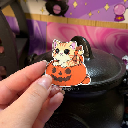 Cat in Pumpkin | Glossy Waterproof Sticker