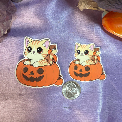 Cat in Pumpkin | Glossy Waterproof Sticker