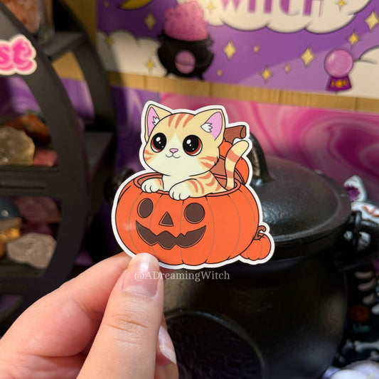 Cat in Pumpkin | Glossy Waterproof Sticker