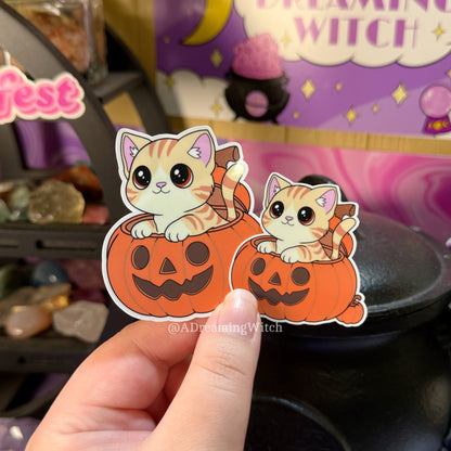 Cat in Pumpkin | Glossy Waterproof Sticker