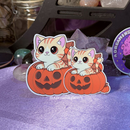 Cat in Pumpkin | Glossy Waterproof Sticker