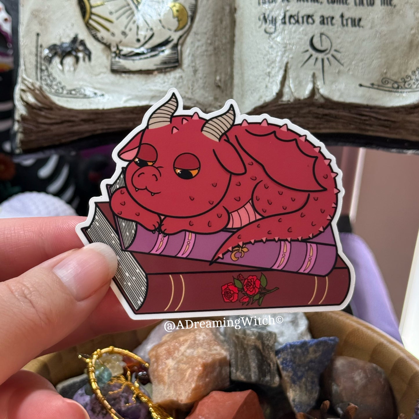 Book Dragon | Glossy Waterproof Sticker