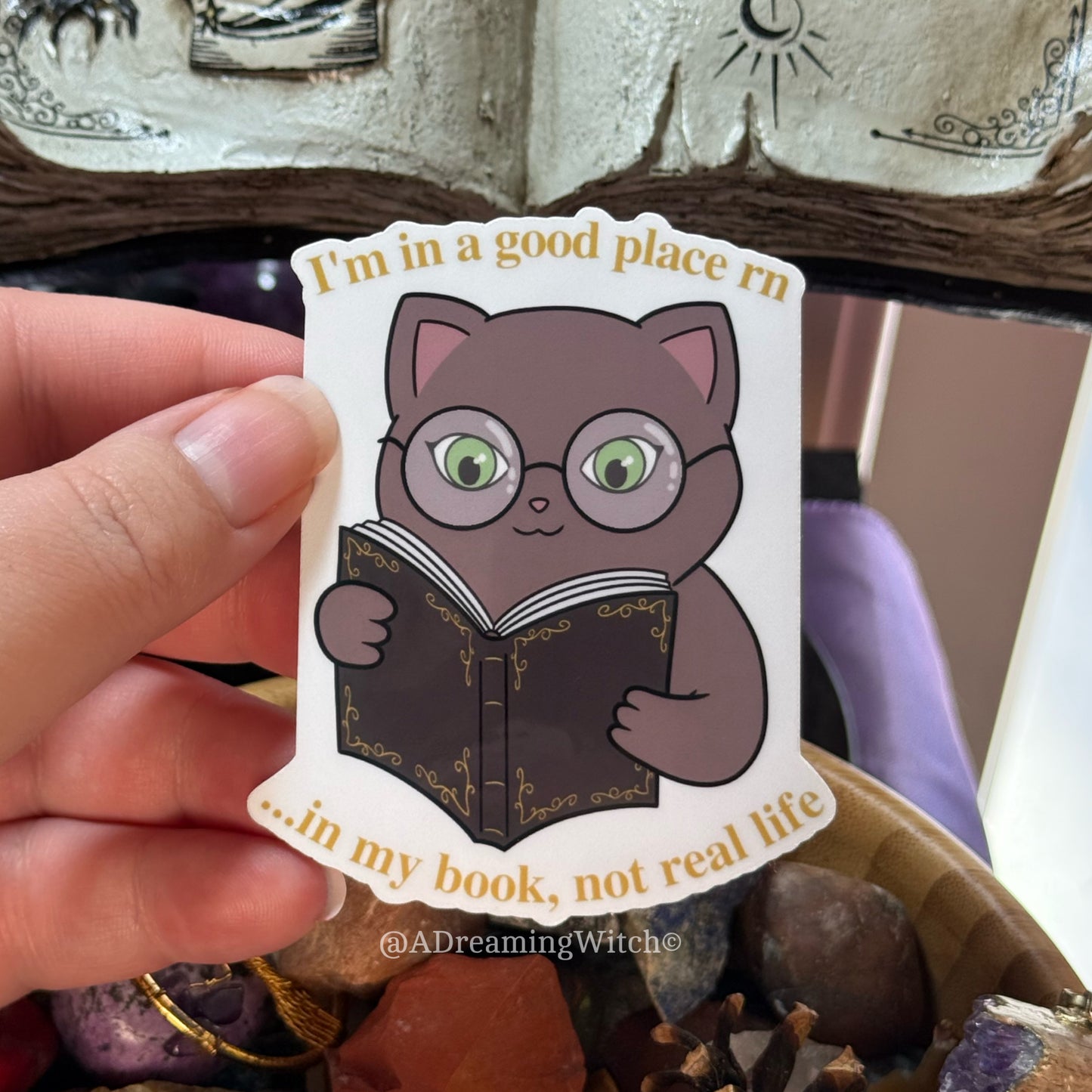 Silly Cat Reading a Book | Glossy Waterproof Sticker